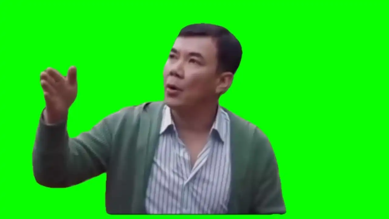 Speaking Gibberish Meme GreenScreen
