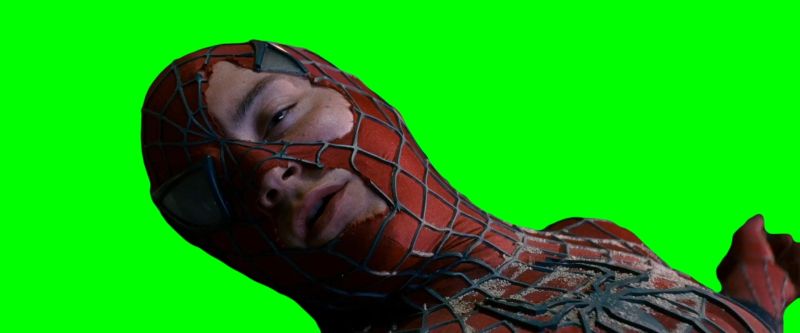 Spider-Man Saved by Harry Green Screen Meme
