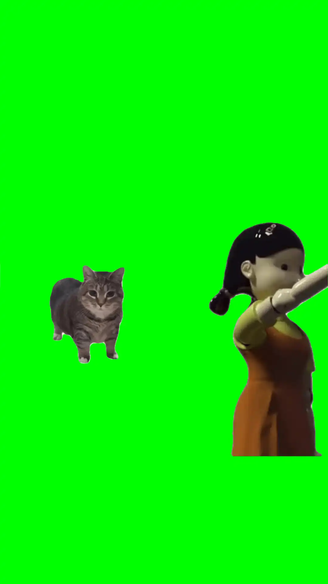 Squid game ooiiaa cat. green screen