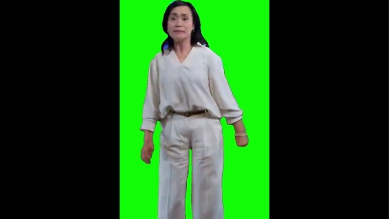 Squid Games Cast Dodge dance Green Screen Memes