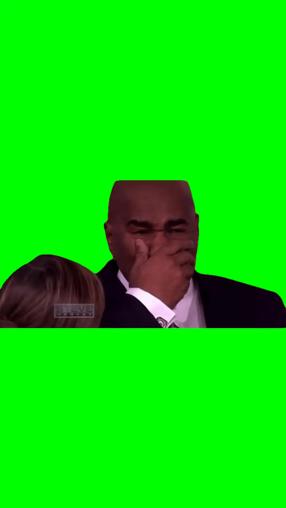 Steve CRYING green screen