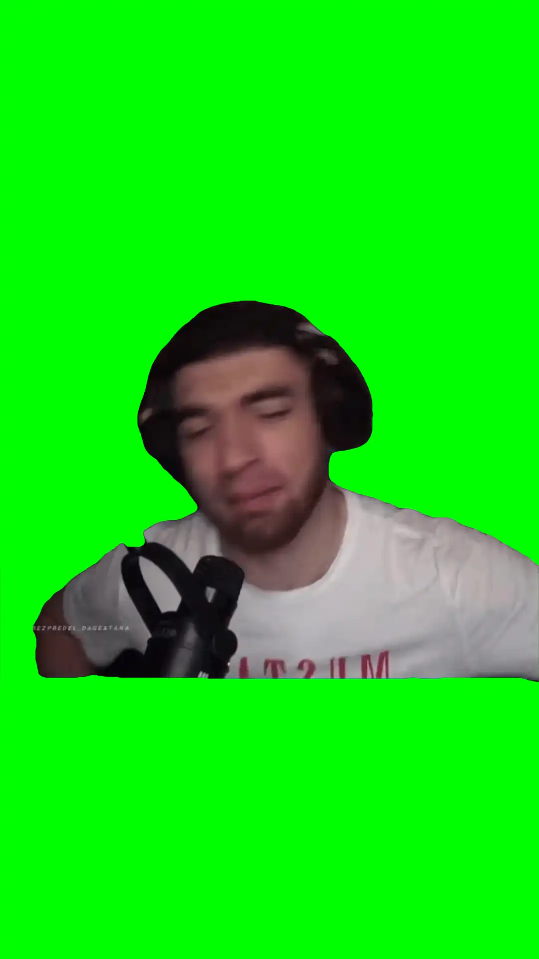 streamer dancing green screen