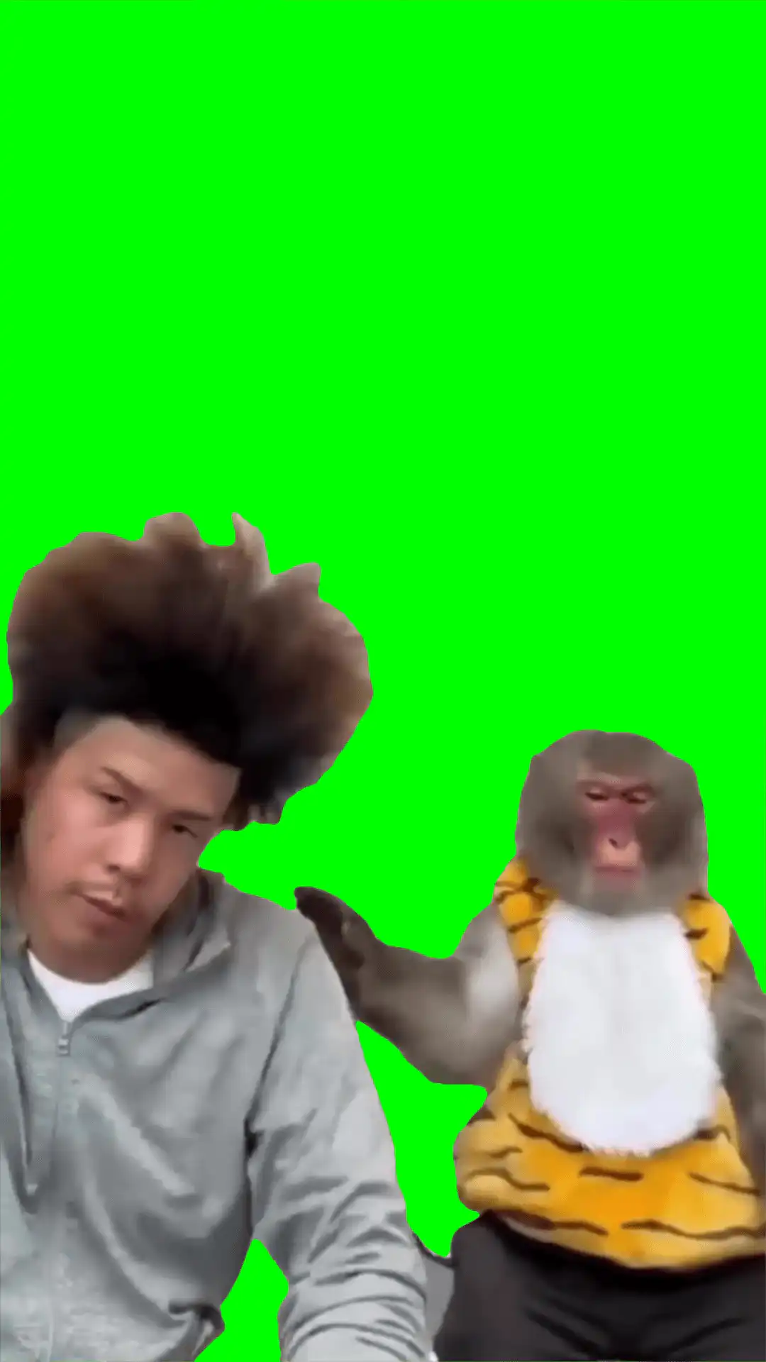 Suprised monkey meme green screen
