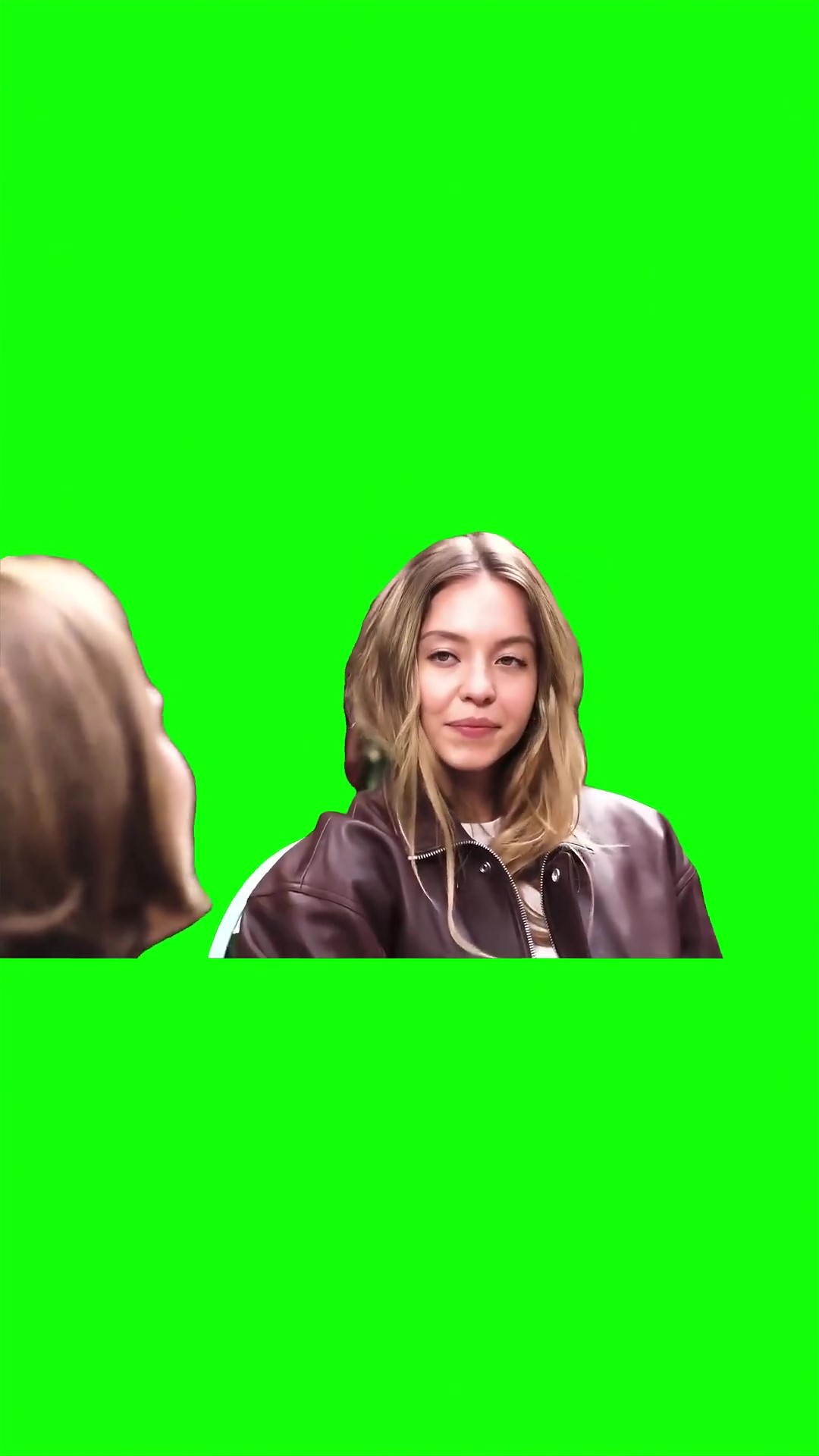 Sweeny shuts down a reporter Green Screen Meme