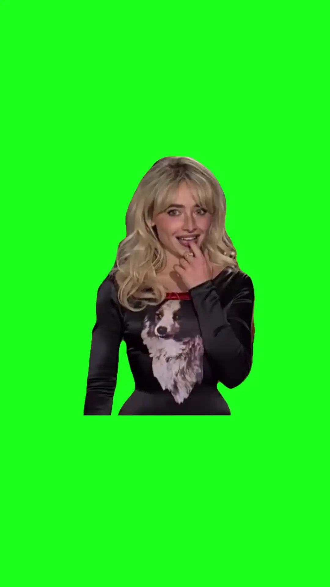 Sydney flirting Green Screen Meme
