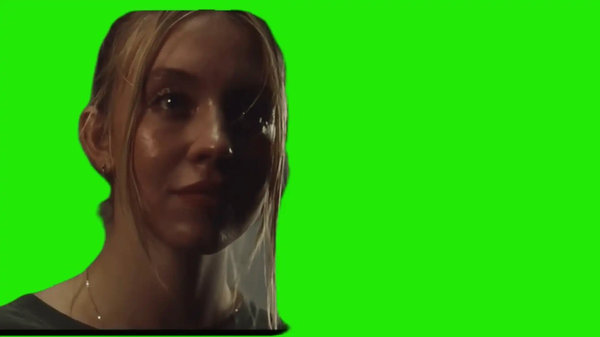 Sydney Sweeney ok bye green screen