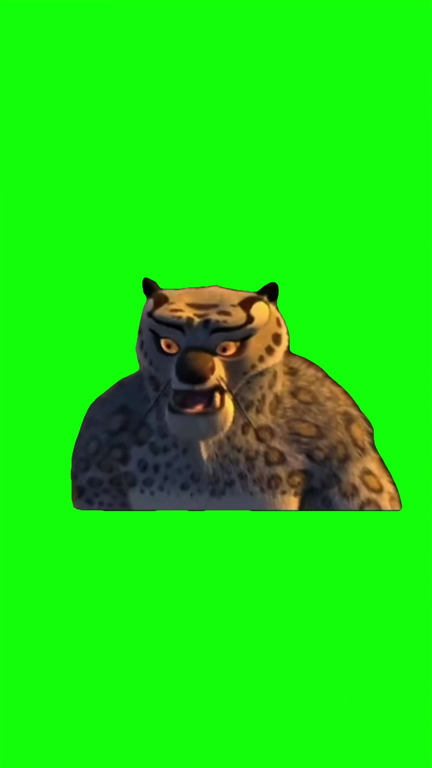 Tai Lung Confused Green Screen Meme