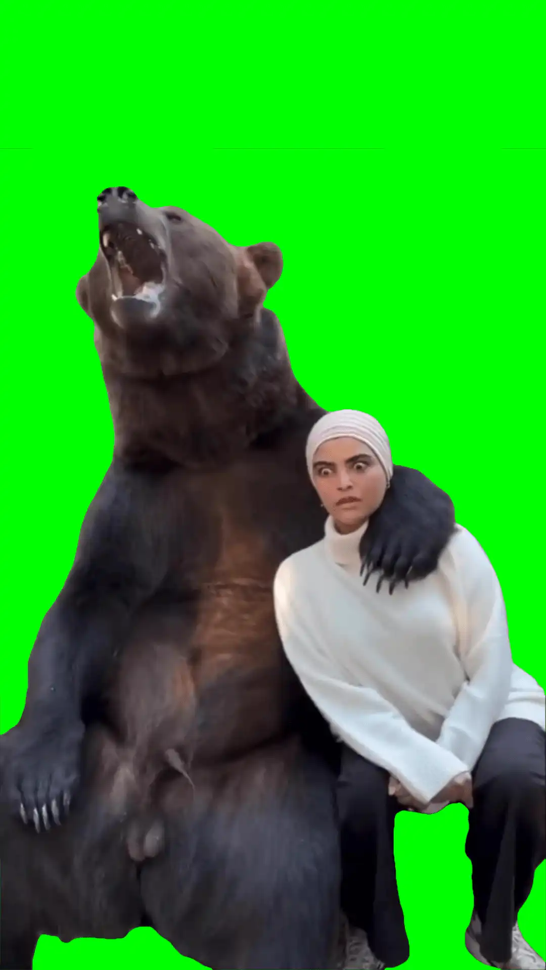 Taking pictures with bear meme green screen
