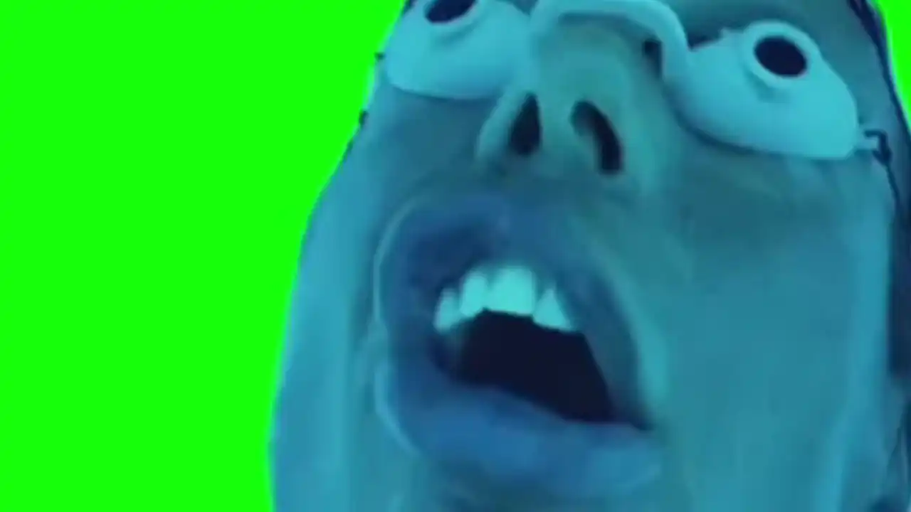 Tanning lady singing meme green screen
