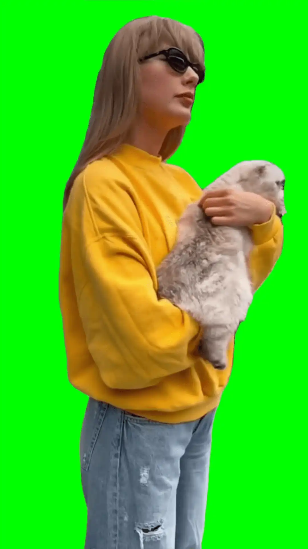 Taylor swift holding cat Meme green screen