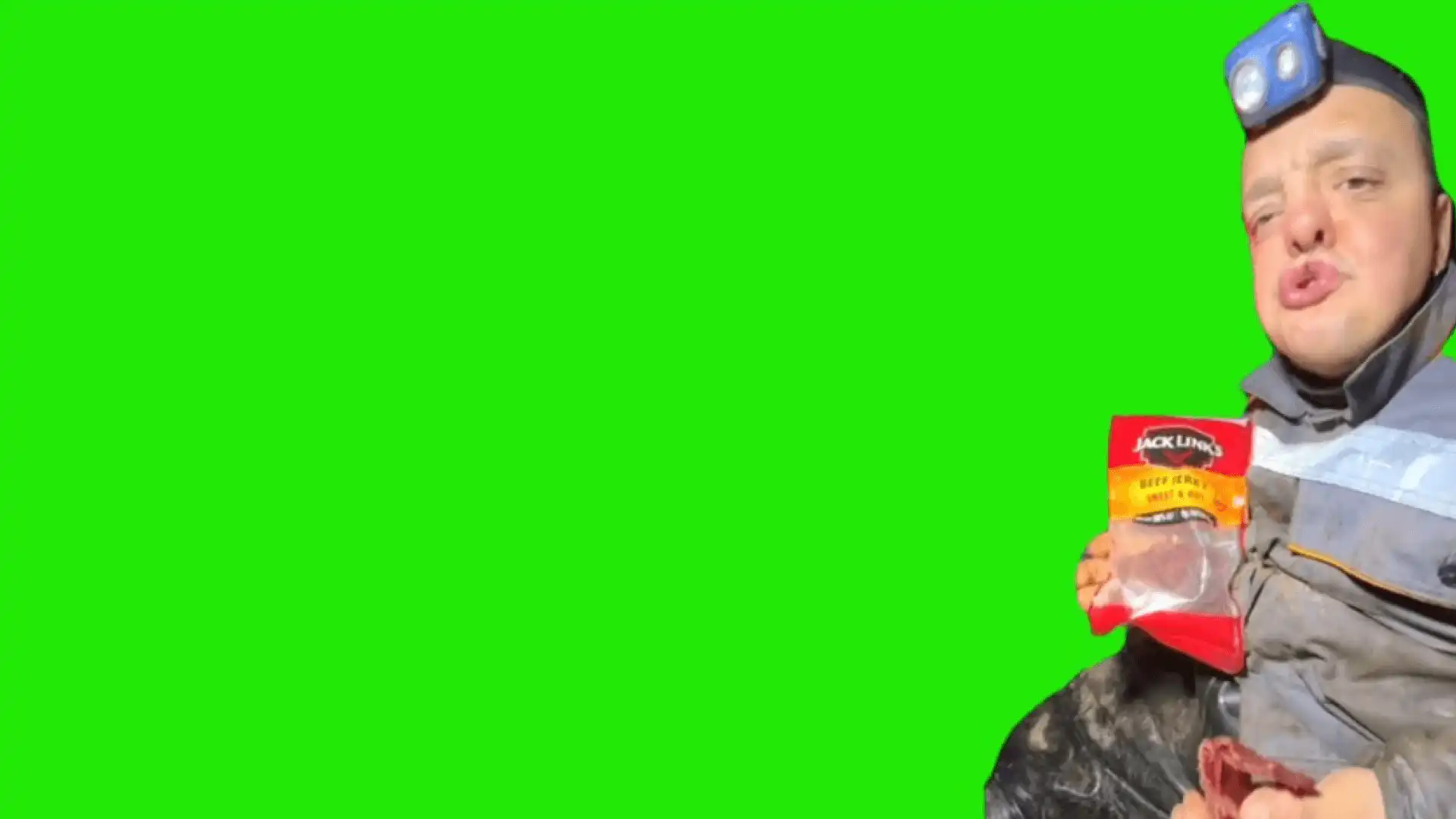 Thank you meme green screen