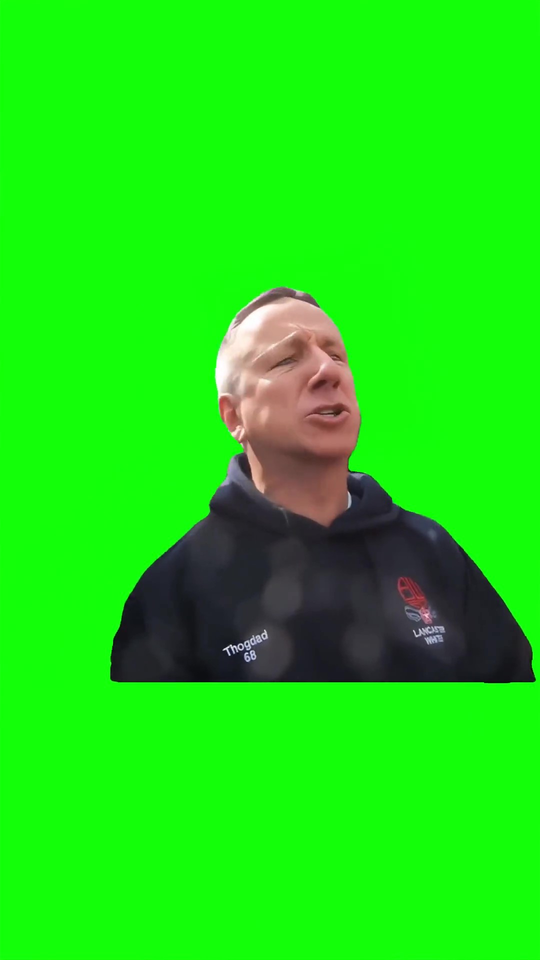 That taste like promotion Green Screen Meme