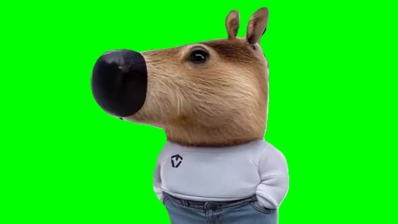 The chill guy irl green screen