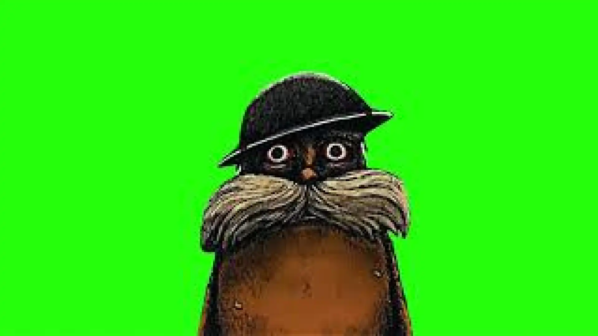 The lorax 1000 yard stare Green screen
