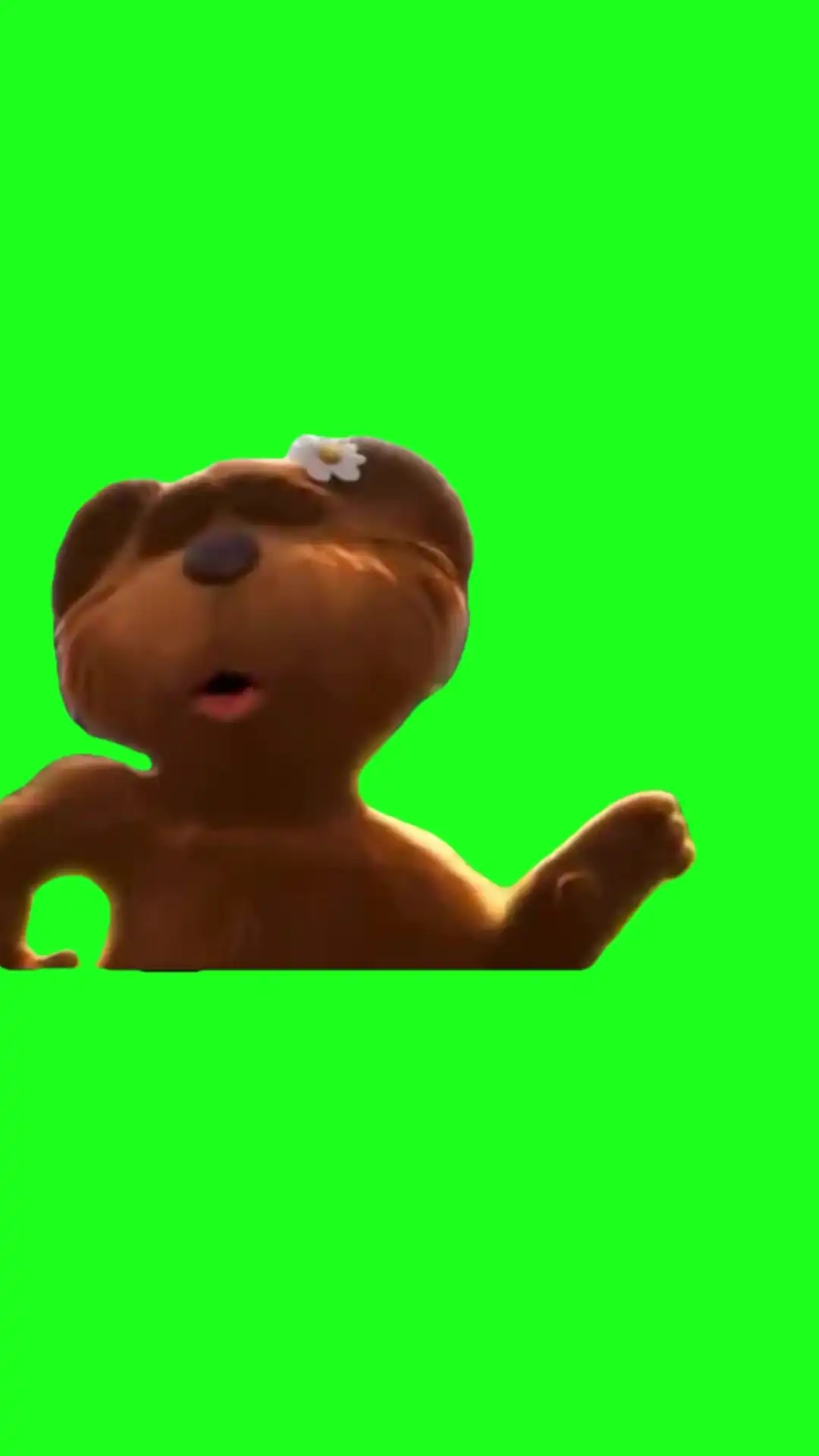 The Lorax Singing Bears Green Screen