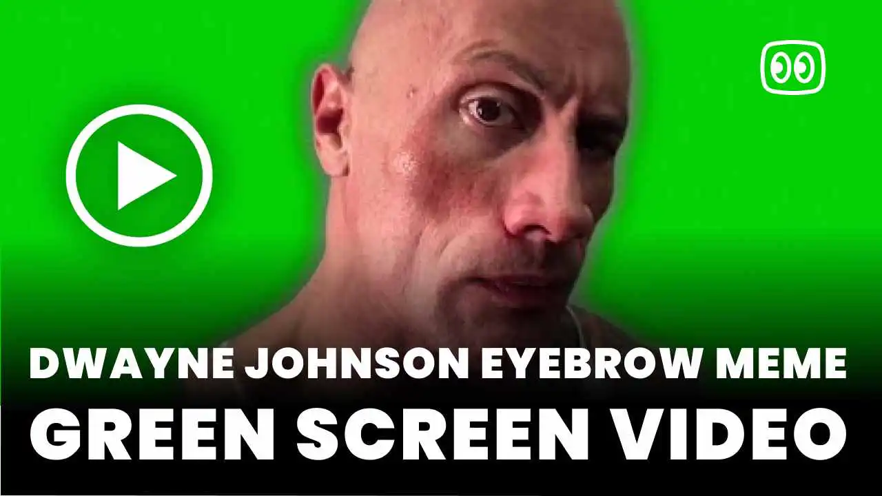 The rock eyebrow raise Meme Green Screen