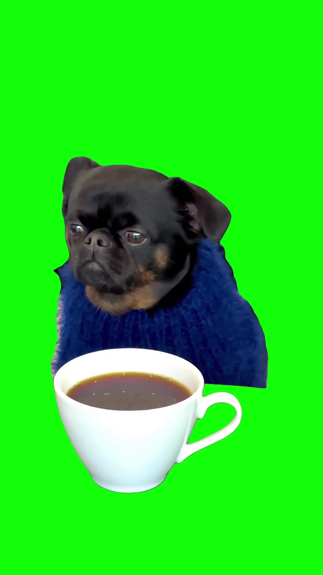 Thinking about everything and nothing Green Screen Meme