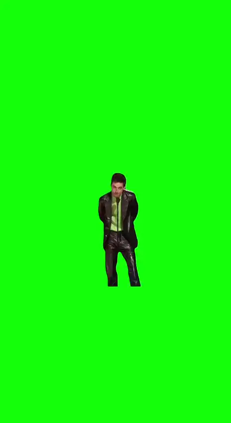 Timothee Chamalet Sag Awards speech meme green screen