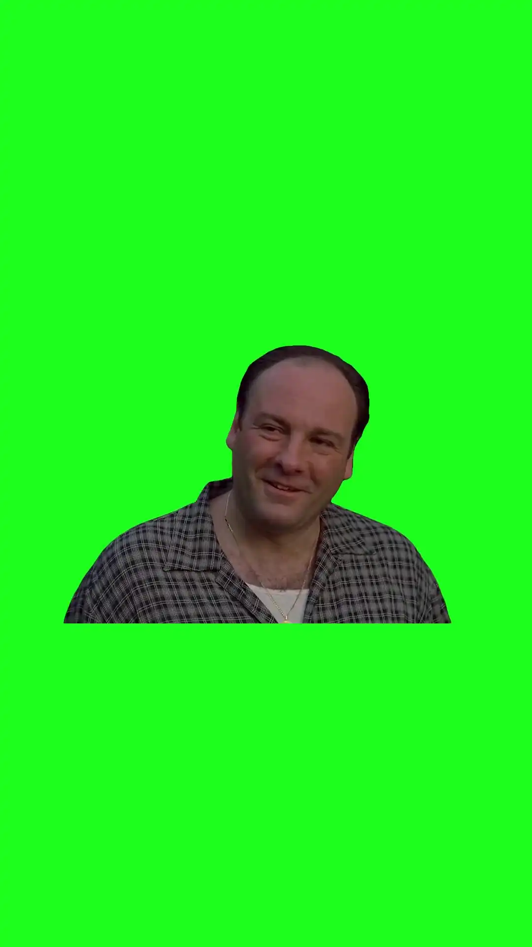 Tony Getting upset Green Screen Meme