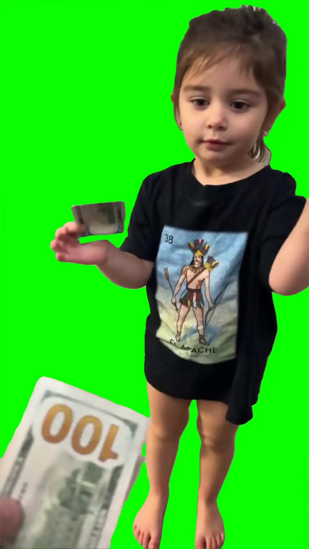 Took daddys money meme green screen