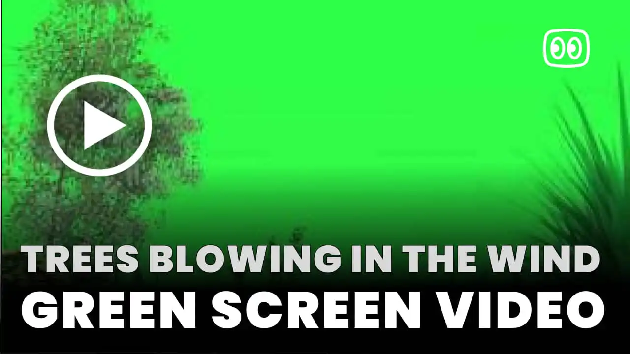 trees blowing in the wind Green Screen