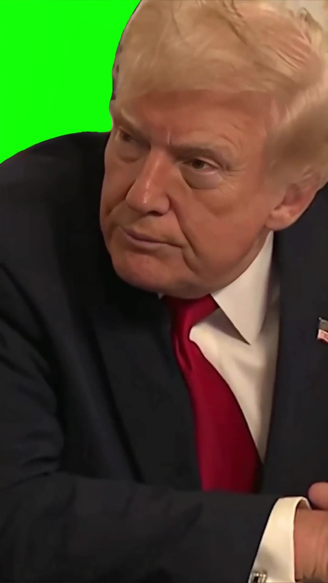Trump are you stupid Green Screen Meme