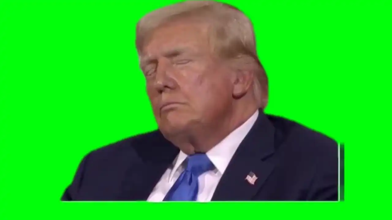 Trump laughs meme green screen