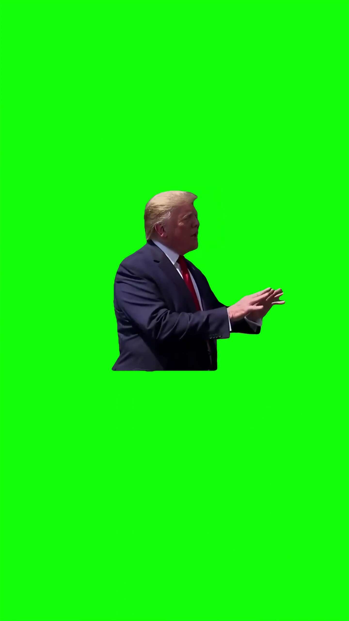 Trump somebody had to do it Green Screen Meme