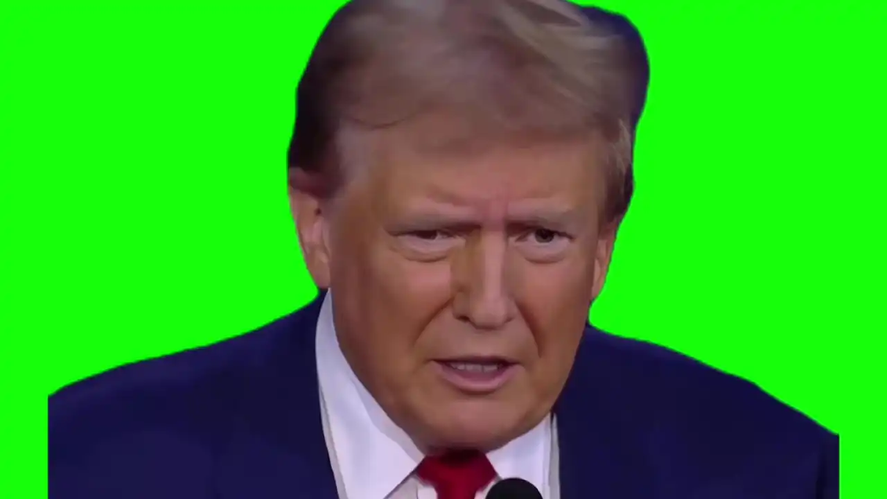 Trump they eating the dogs Green screen