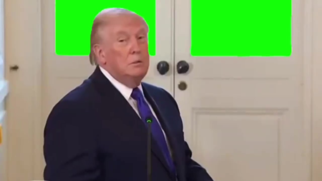 Trump wow what a view Green Screen Meme