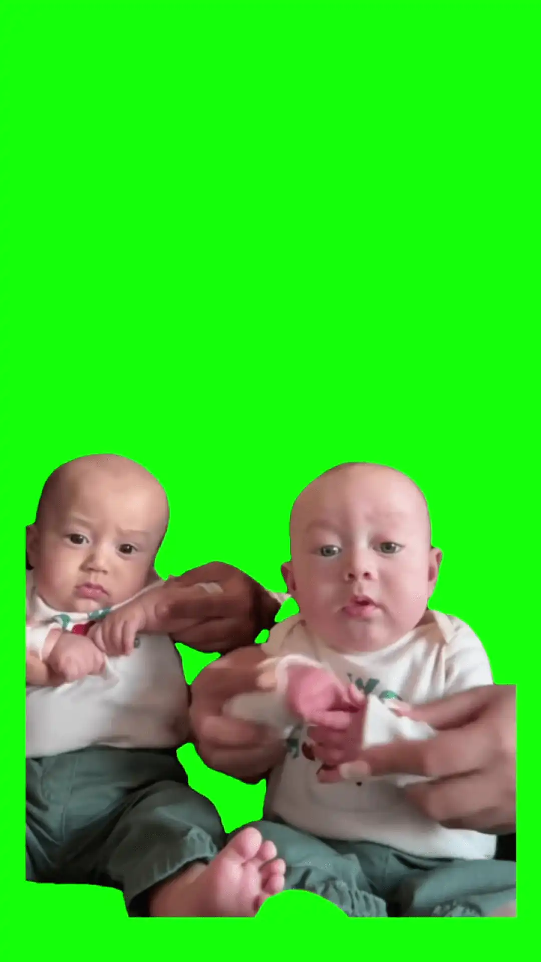 Twin bros dance meme green screen