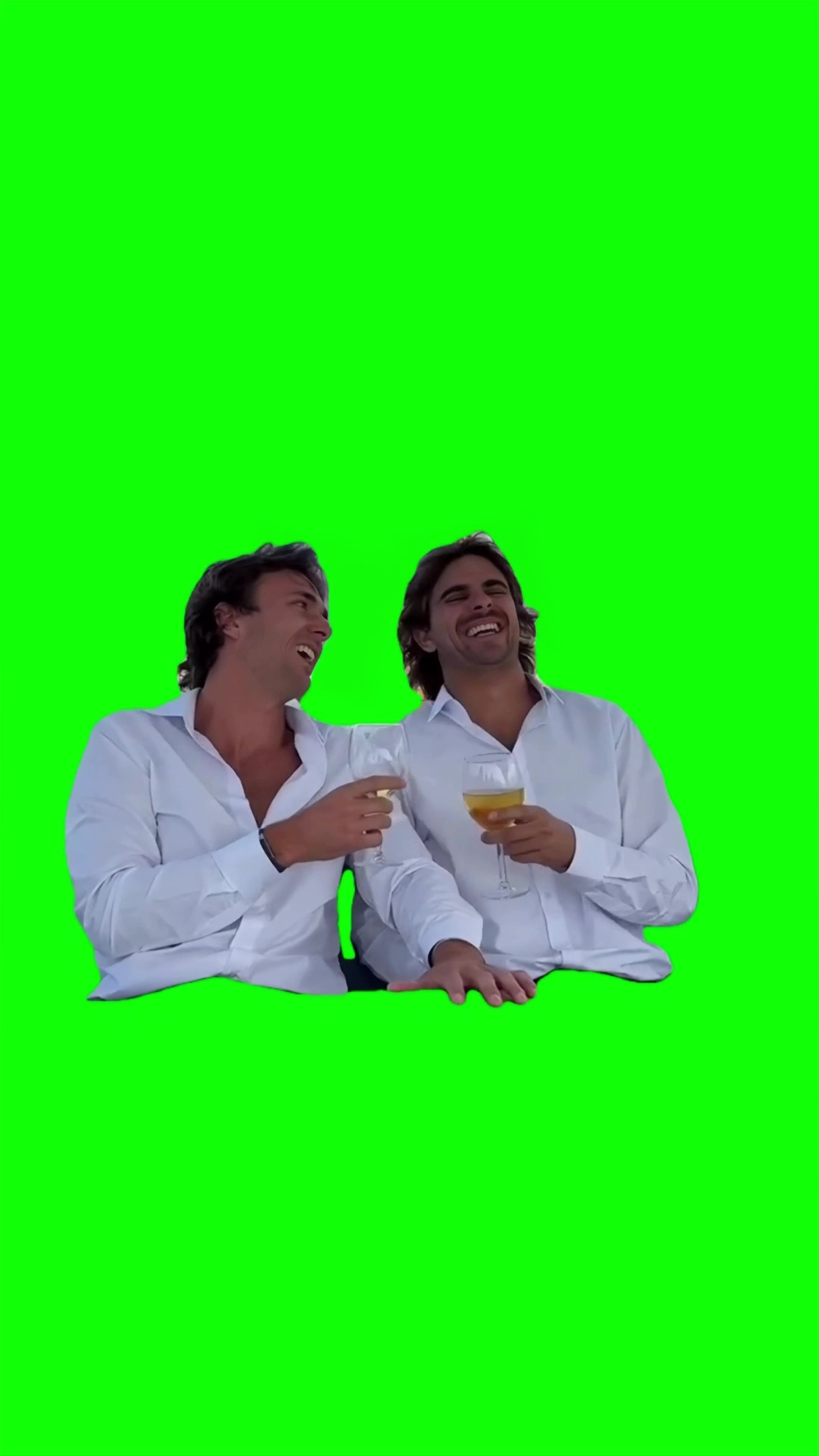 Two guys laughing Meme Green Screen