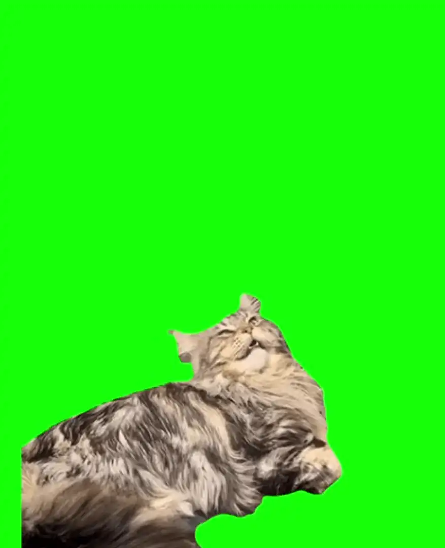 Vibing Cat Green screen