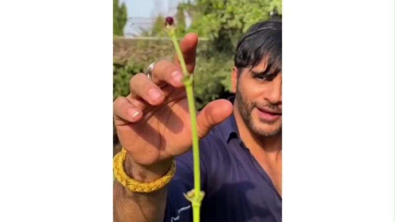 Viraj Dobariyal Viral Instagram Edit Memes