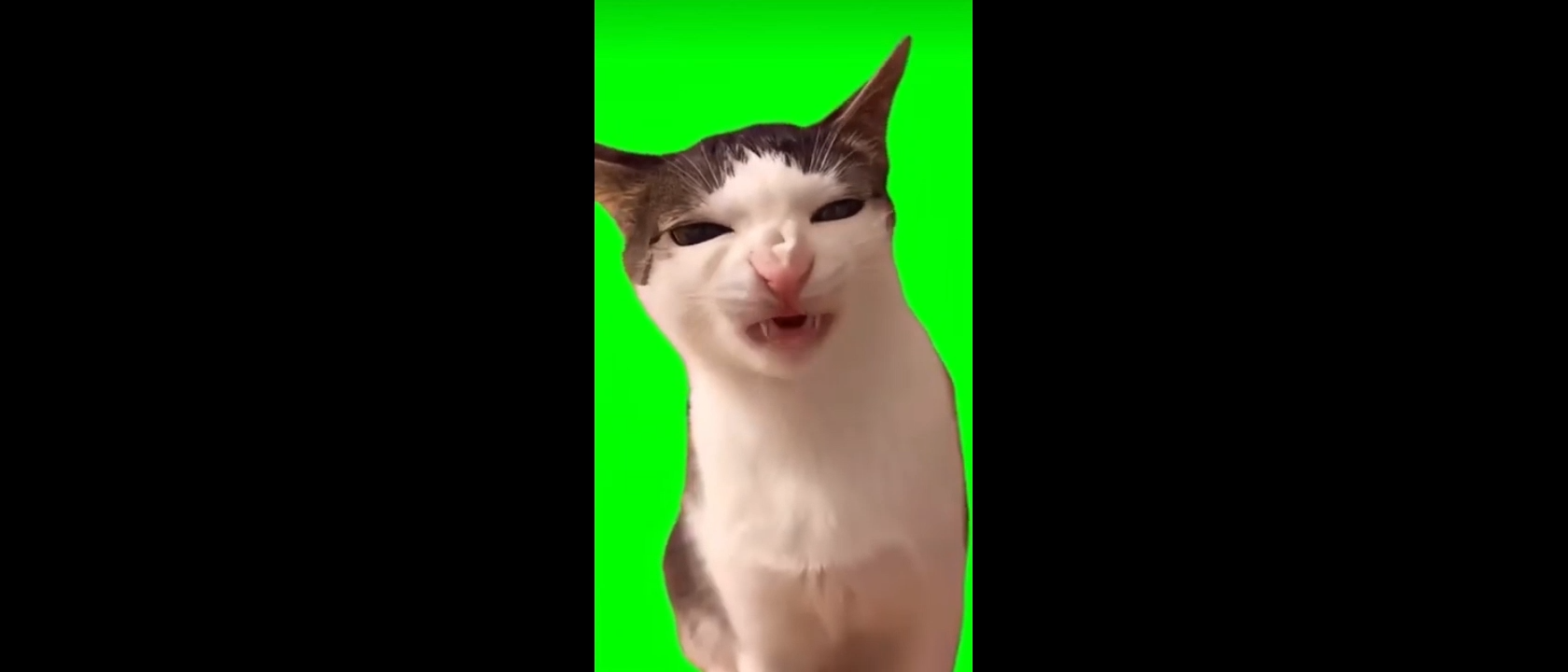 Viral Green Screen Meme Templates for Video Editing