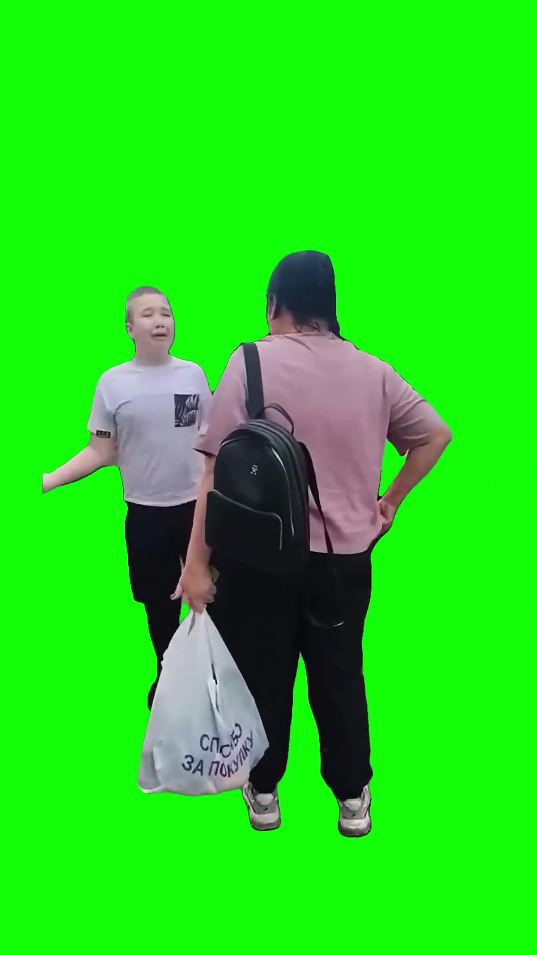 Vizivai Taksi Green Screen Meme