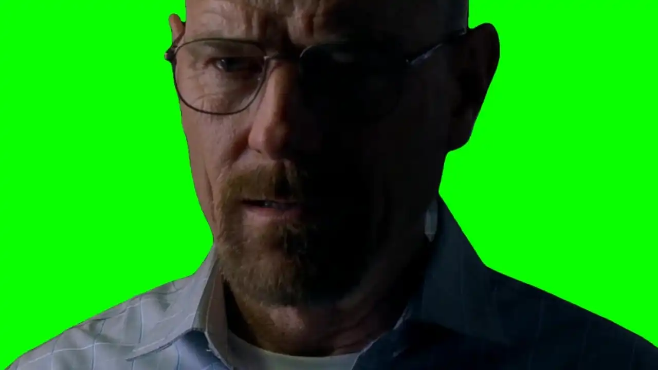 walter White whos We Meme green screen