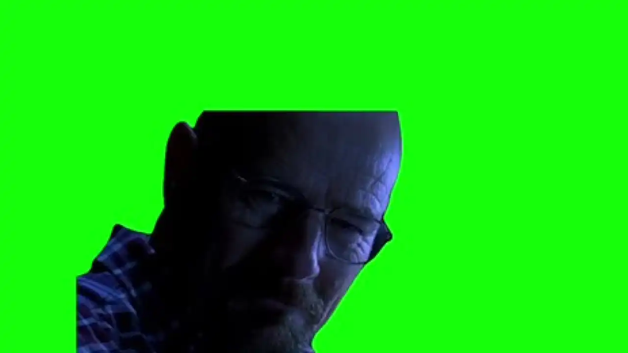 Walter White You got Me Meme green screen