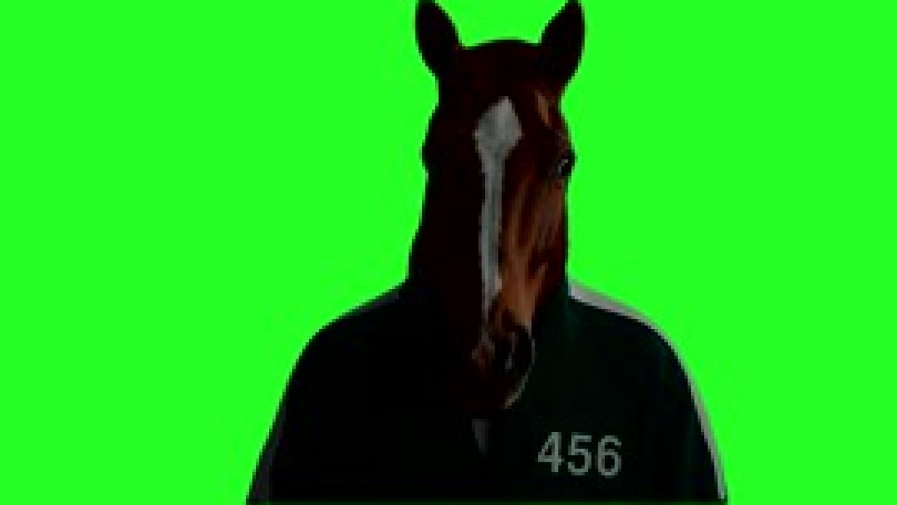 we are not horses Green Screen