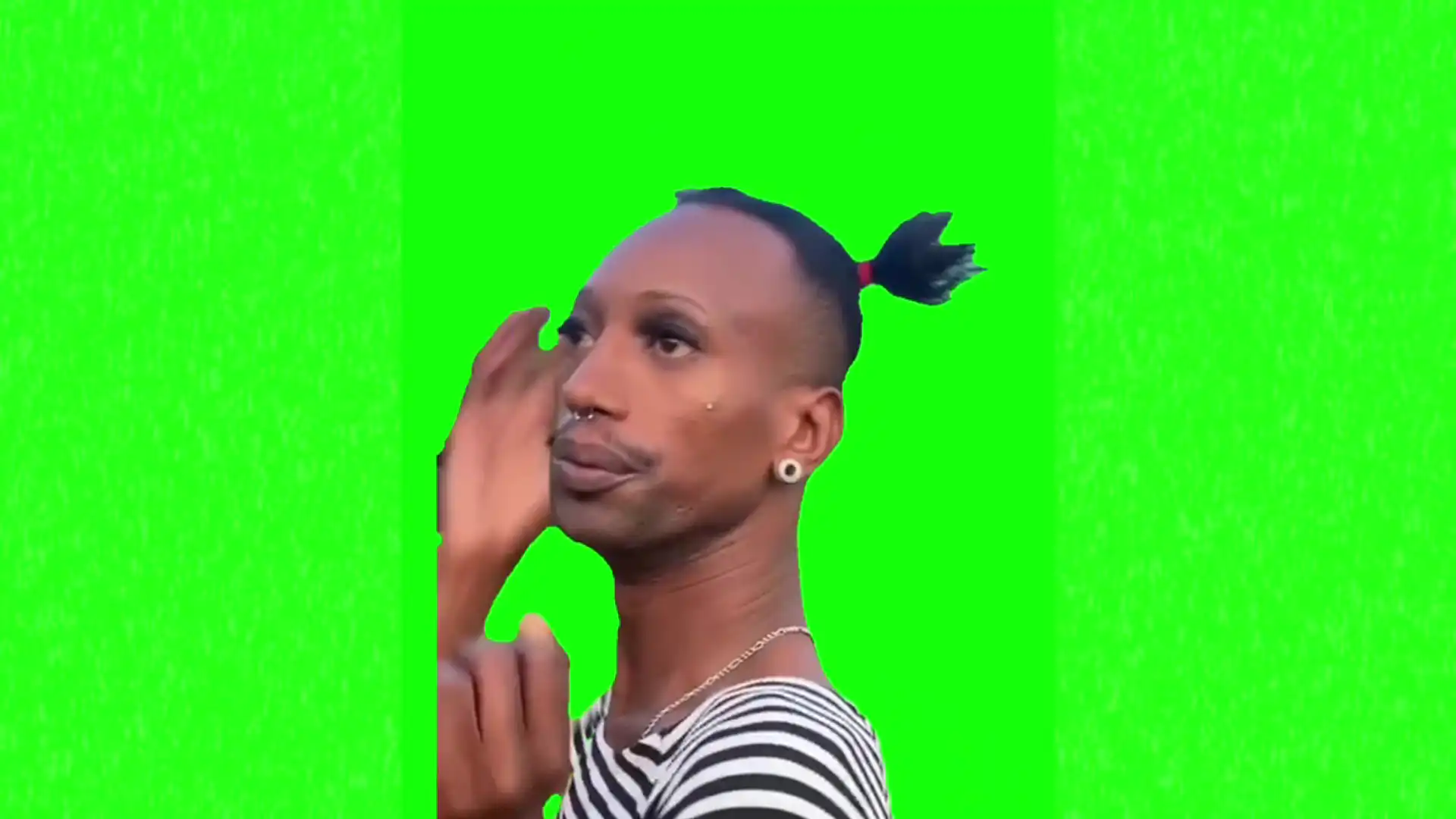 What are you looking at meme green screen