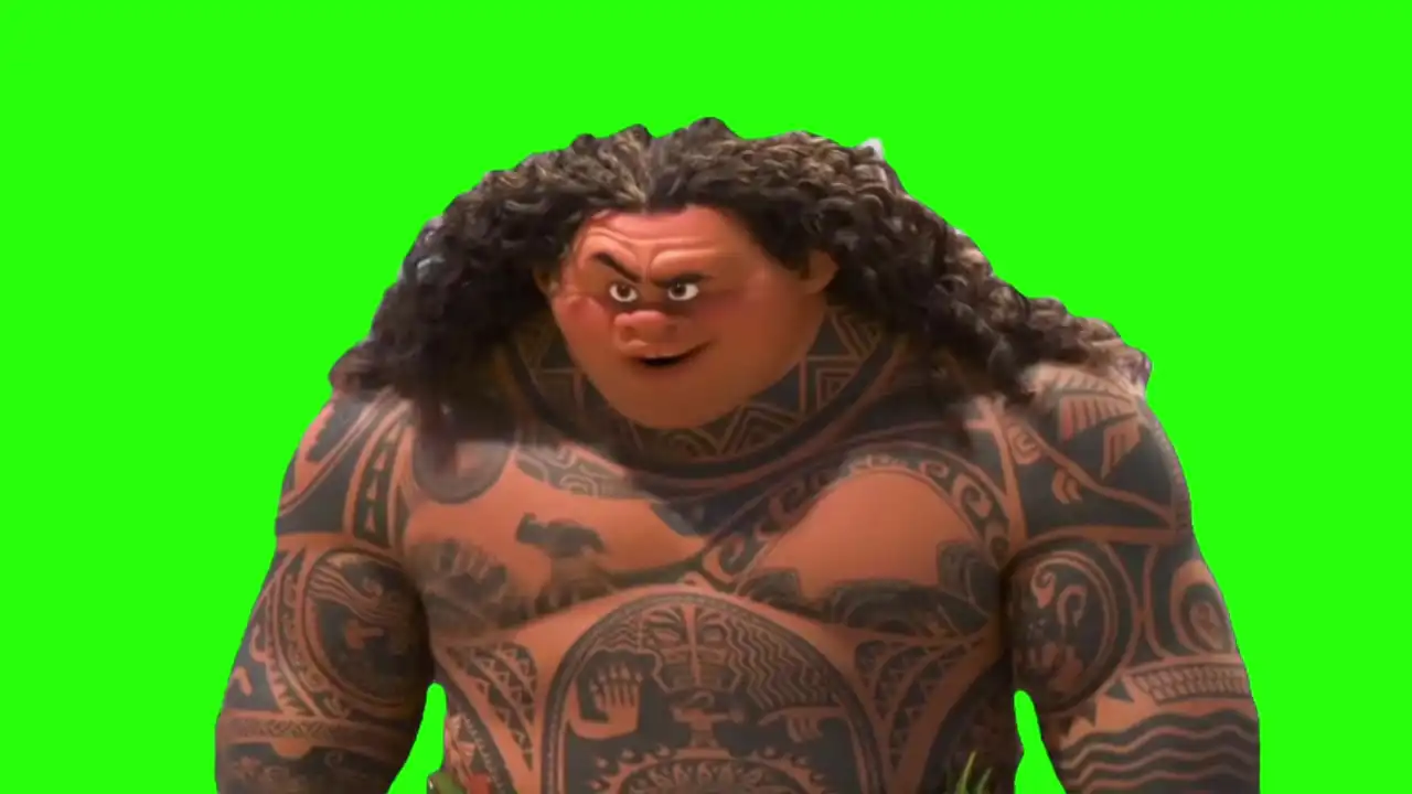 What can i say expect your welcome green screen