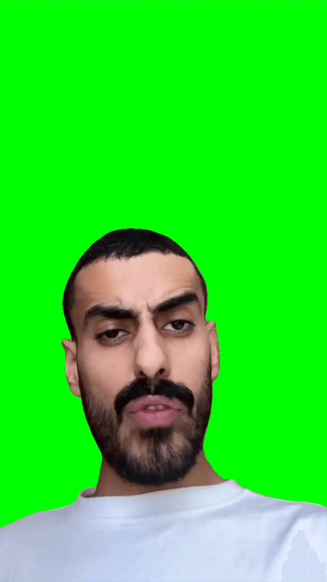What do you do for a living Meme Green Screen