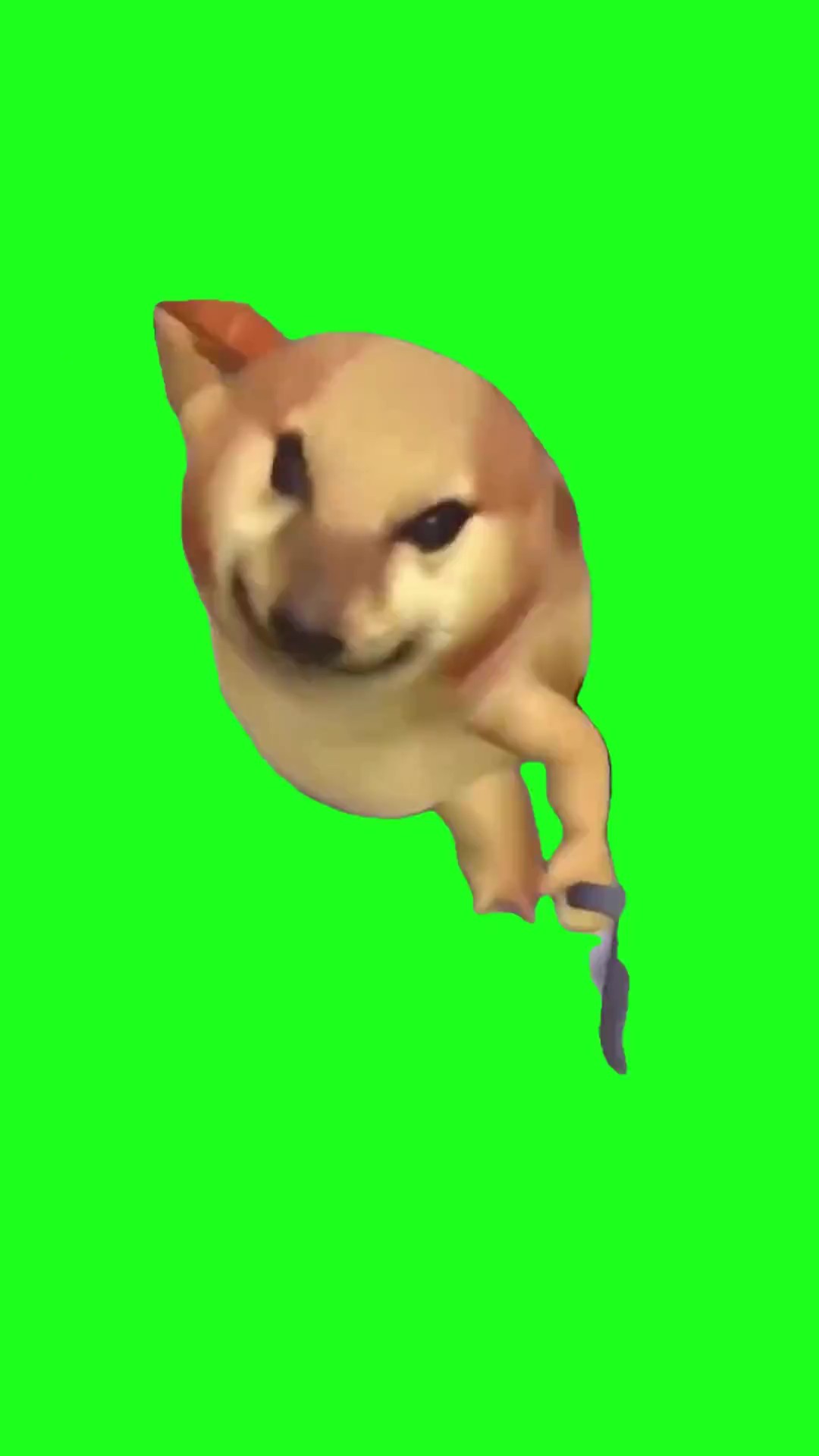 What the dog doing Green Screen Meme