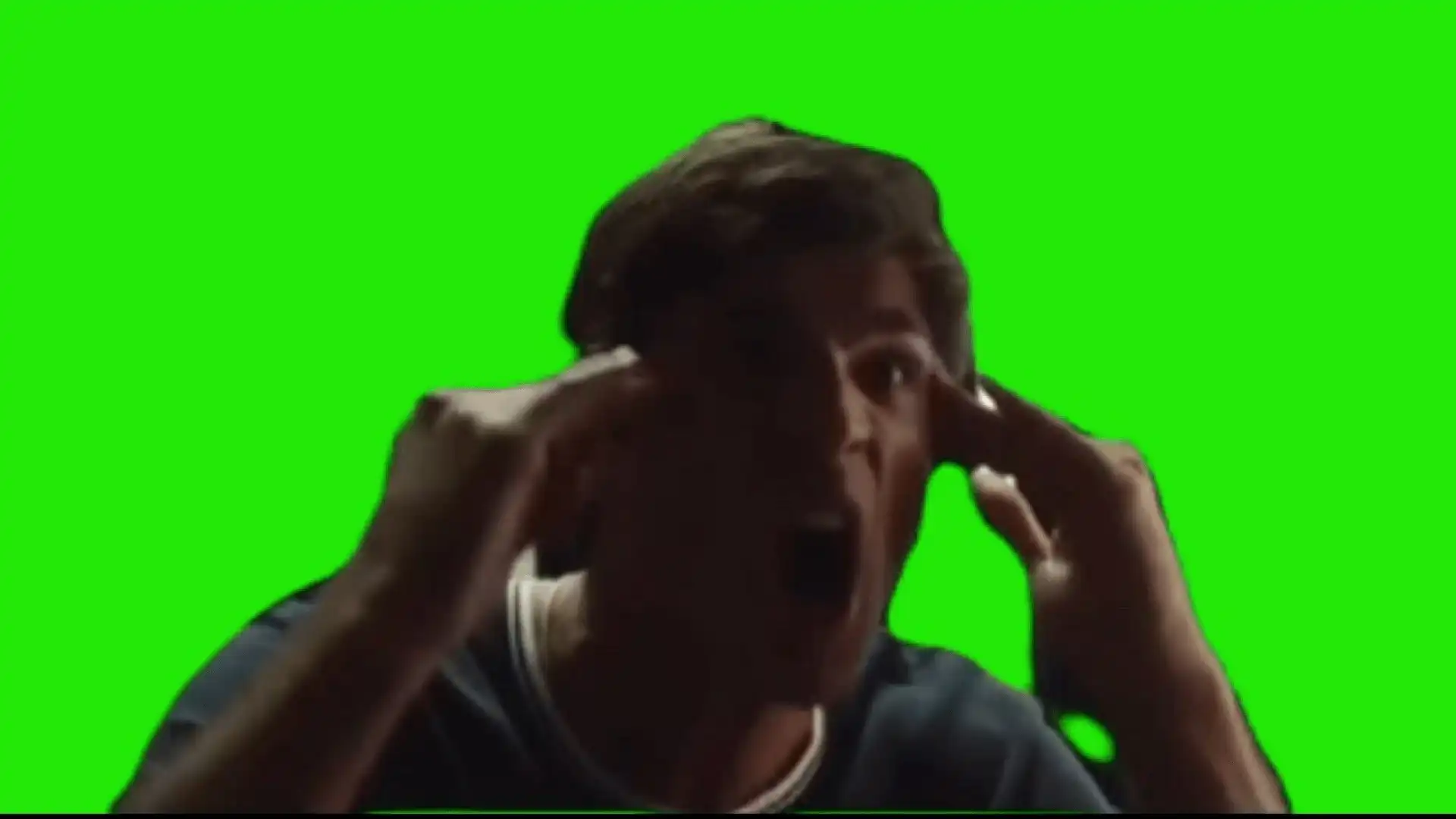 What the F__K is wrong with you green screen