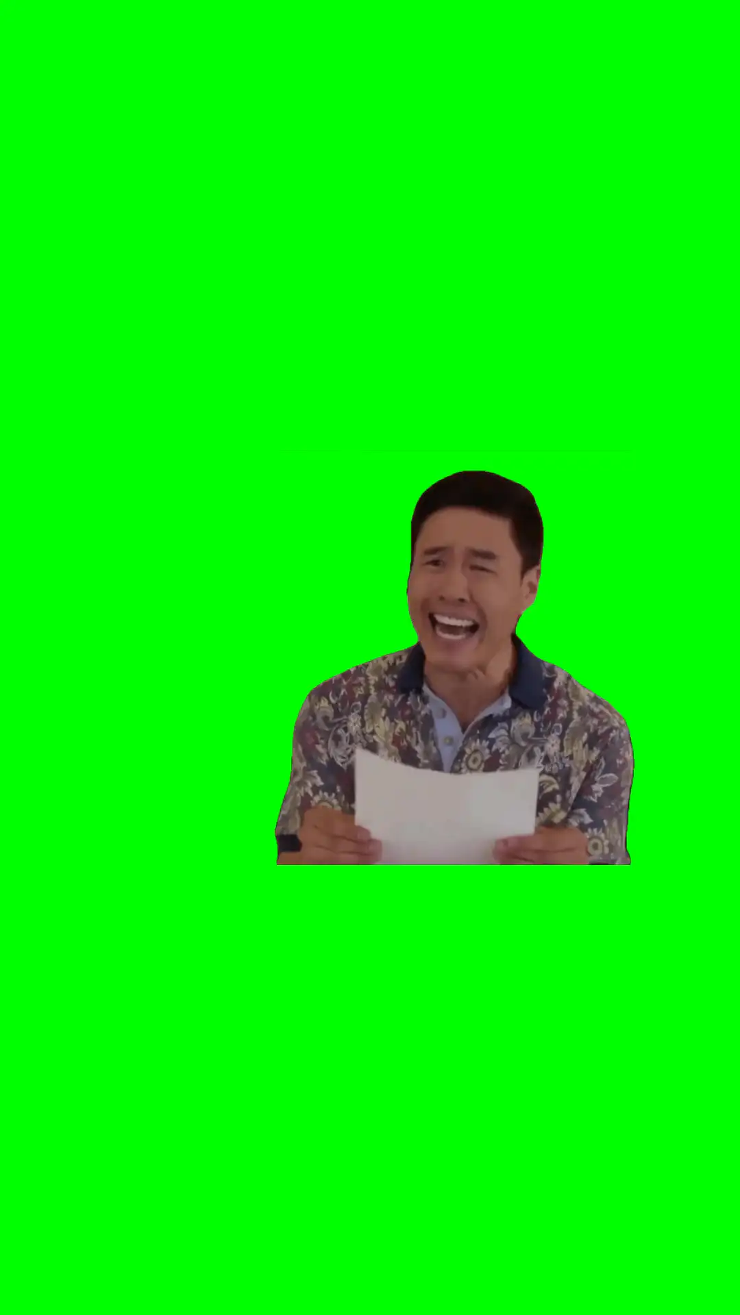What the hell is this meme green screen