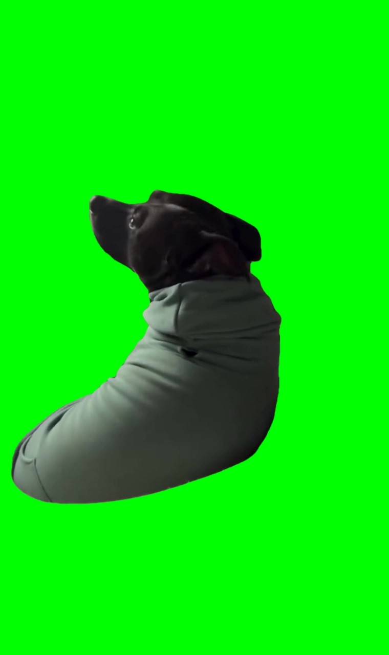 Why are you mad at me Meme Green Screen