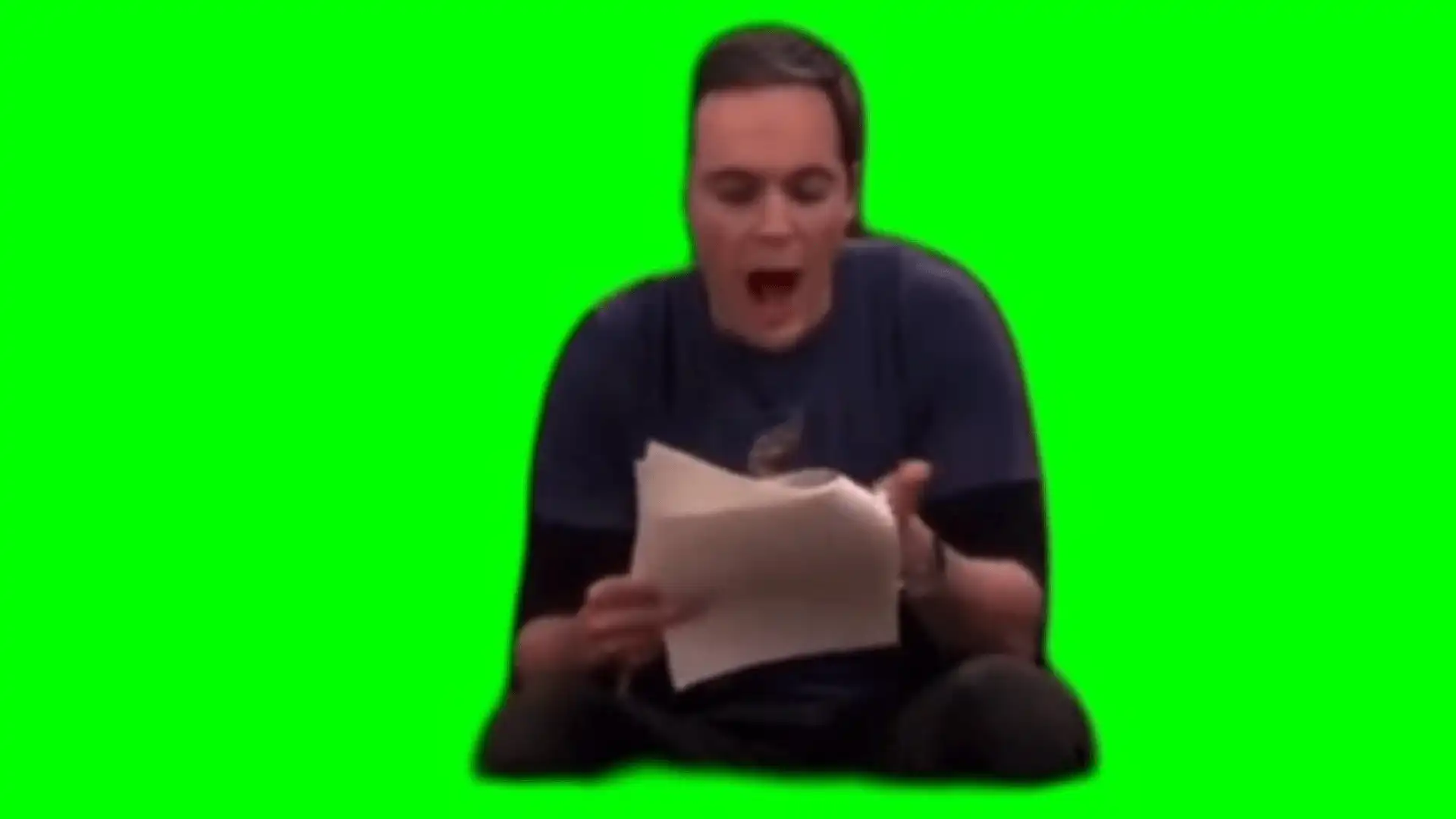 Why!! Why!! Meme green screen
