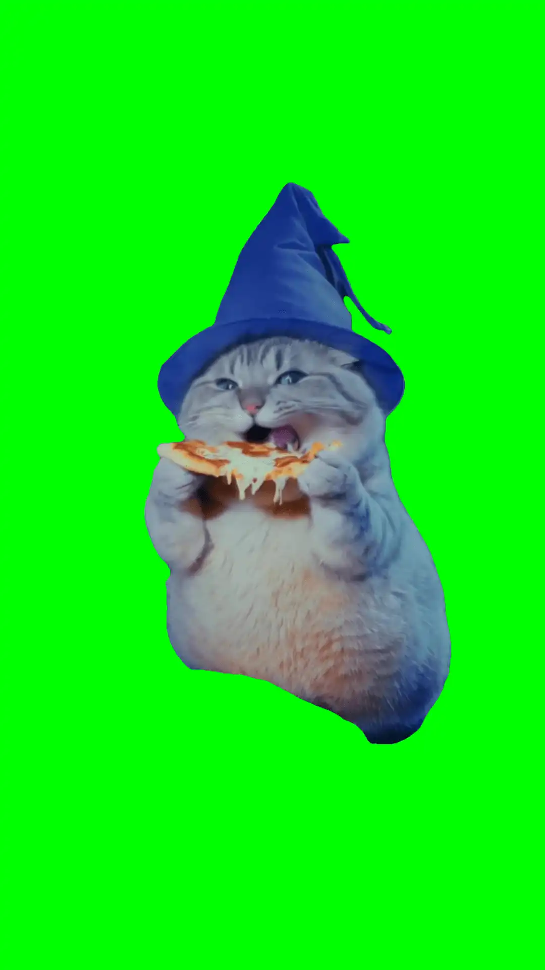 Wizard Cat Eating Pizza Meme Green Screen