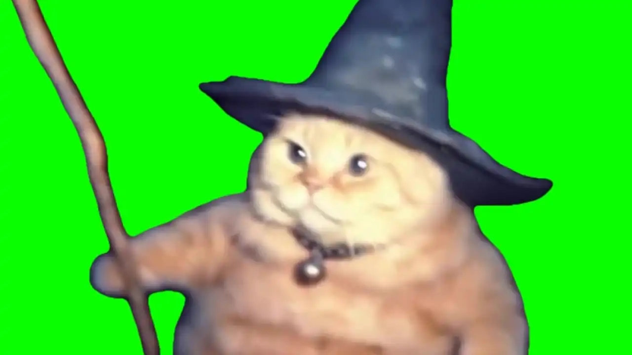 Wizard kitty green screen