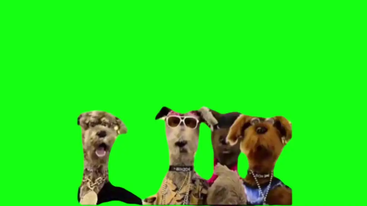 Woof Woof Woof Meme Green Screen